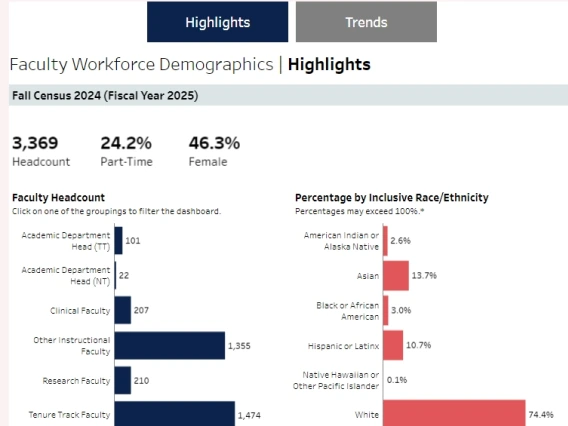 Faculty Demographics Fall 2024