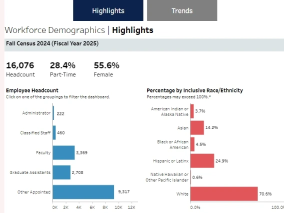 Workforce Demographics Fall 2024