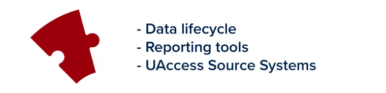 Chili red puzzle piece with bullet points describing Data Architecture to the right of it